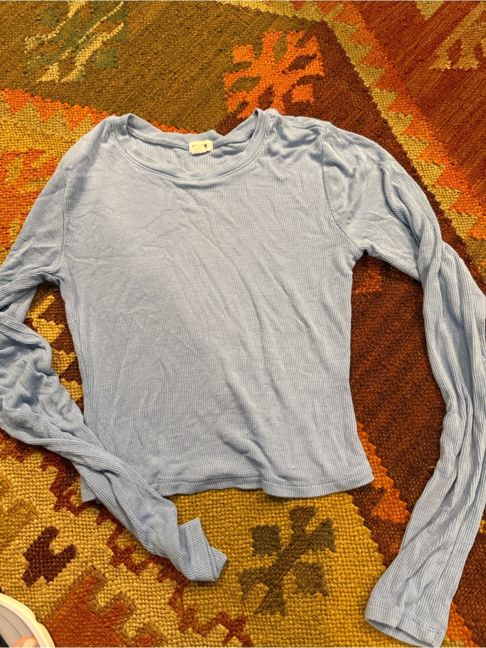 Garage Women's Light Blue Long-Sleeve Ribbed Crewneck Top